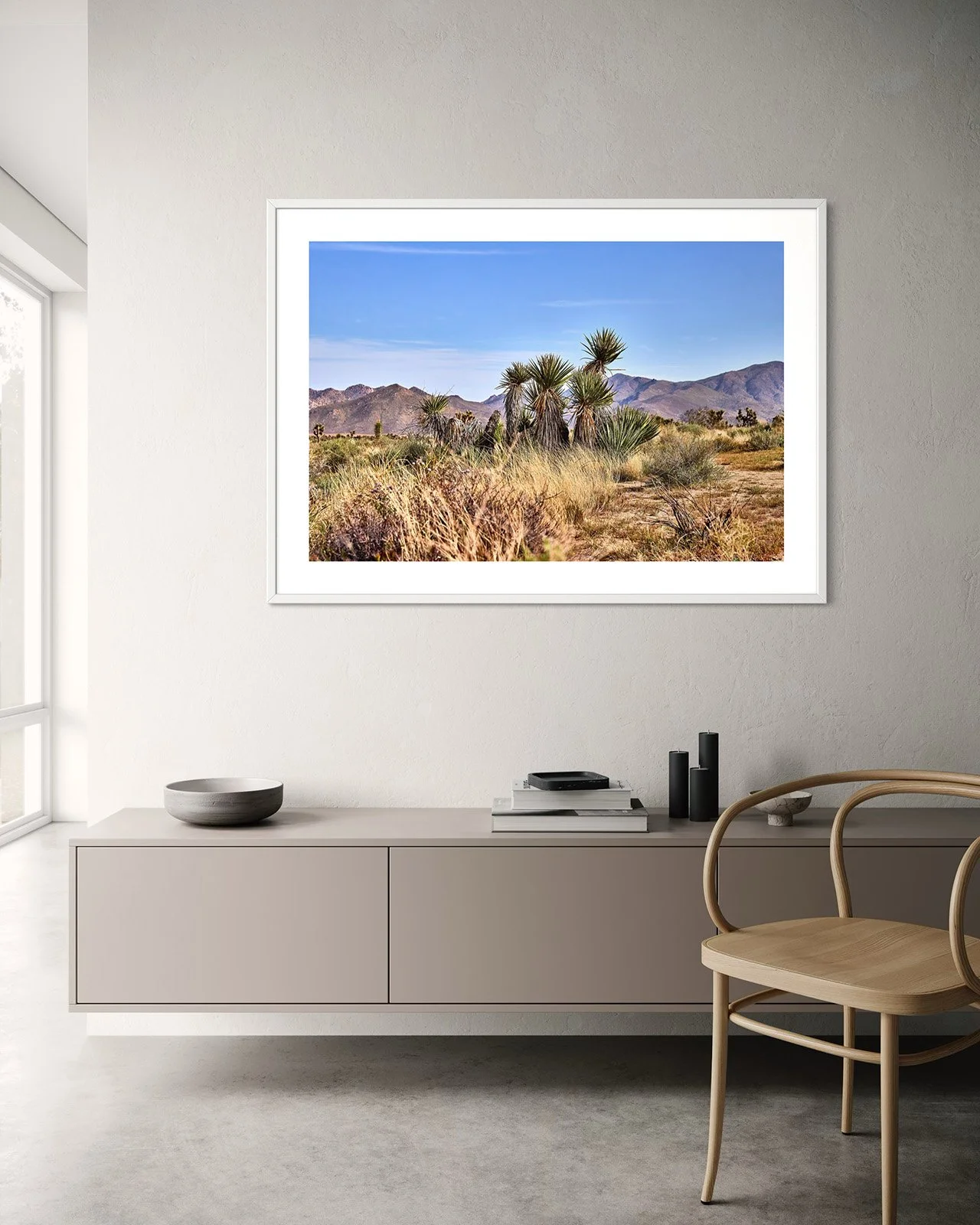 JOSHUA_TREE_YUCCA_FAMILY_1_5843_FF.STU.WHT.002.jpg