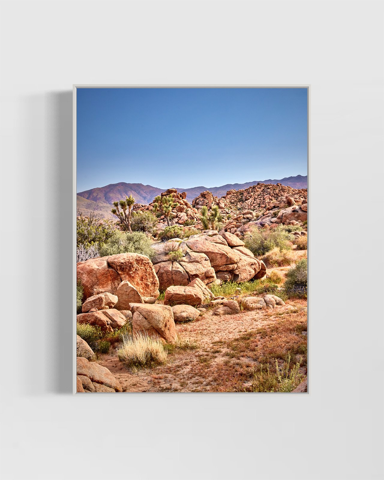 joshua-tree-oliphant-photo-art-5930.WHITE.jpg