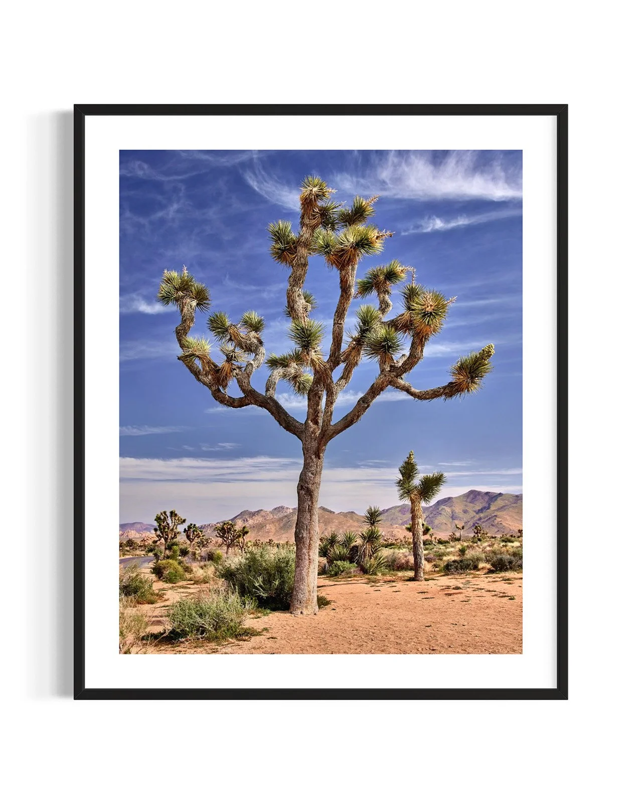 joshua-tree-oliphant-photo-art-5813.FF.DTL.BLK.001.jpg