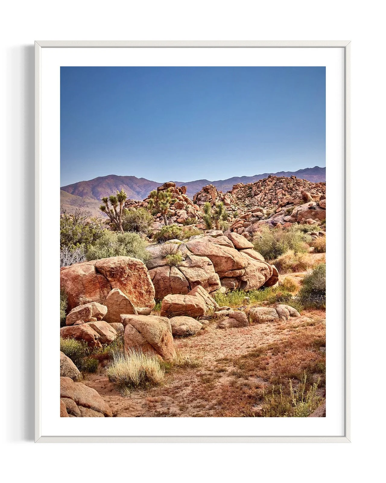 joshua-tree-oliphant-photo-art-5930.FF.DTL.WHT.001.jpg