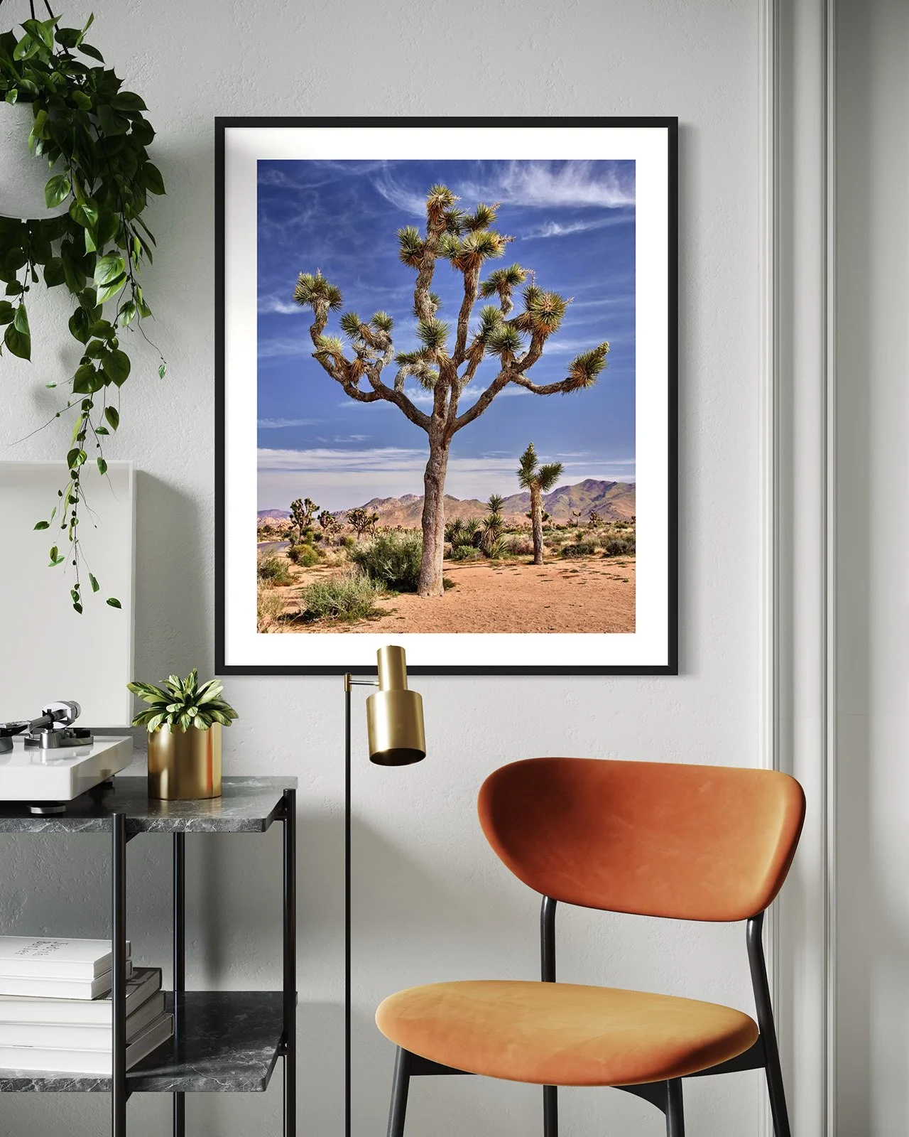 joshua-tree-oliphant-photo-art-5813.FF.STU.BLK.004.jpg