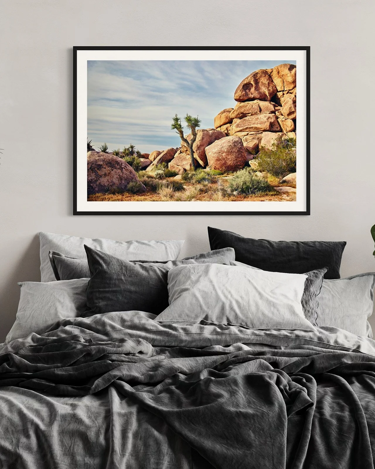 joshua-tree-oliphant-photo-art-6006-HORZ.FF.STU.BLK.002.jpg