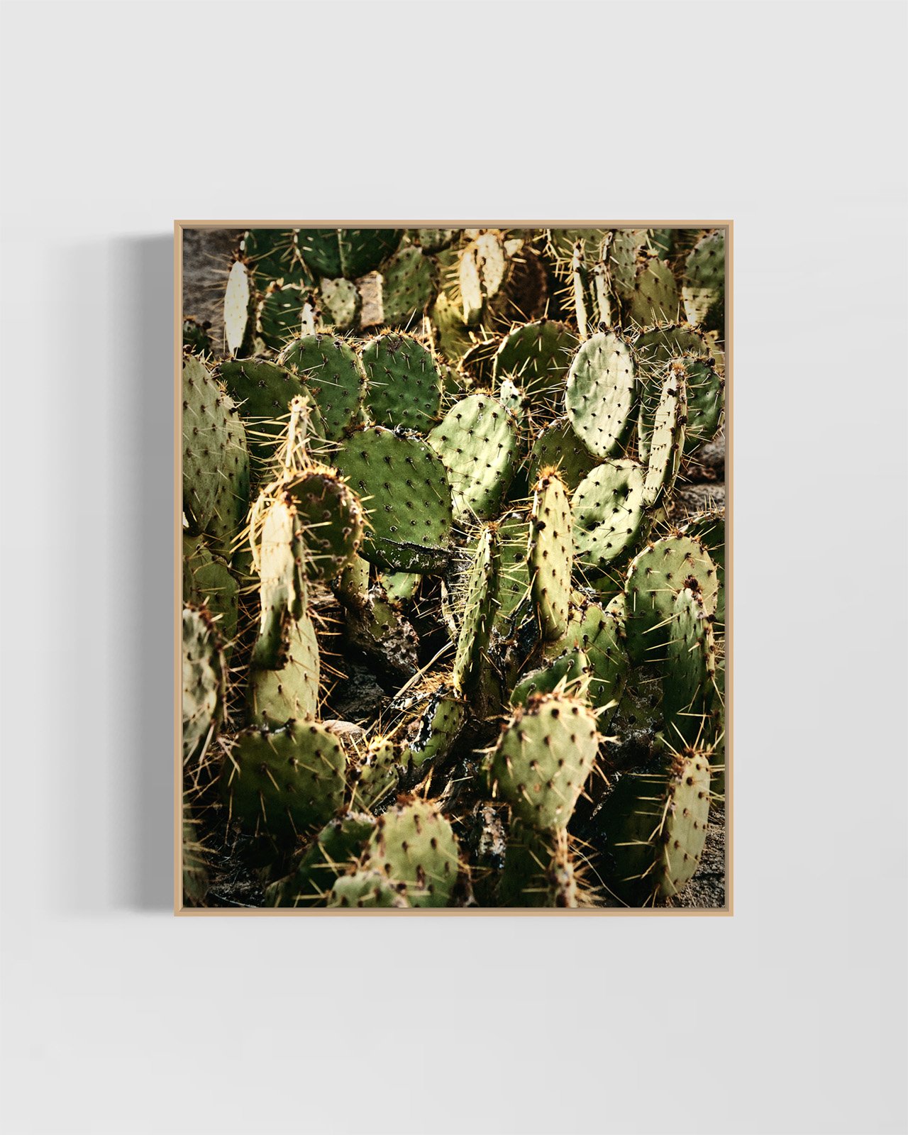 joshua-tree-cacti-oliphant-photo-art.6080.OAK.jpg