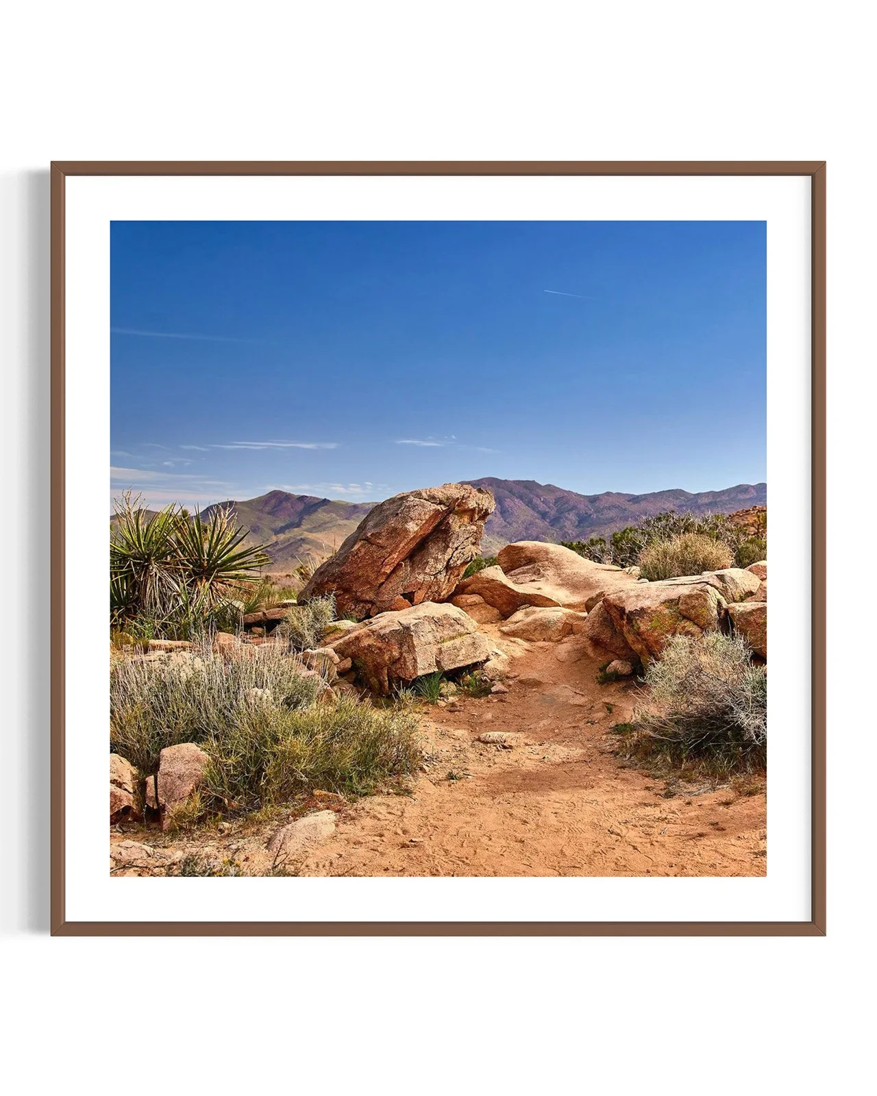 joshua-tree-oliphant-photo-art-5863.FF.DTL.WNT.001.jpg