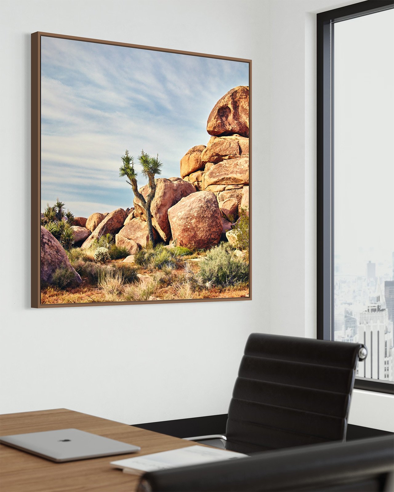 joshua-tree-oliphant-photo-art-6006-SQ.019.jpg