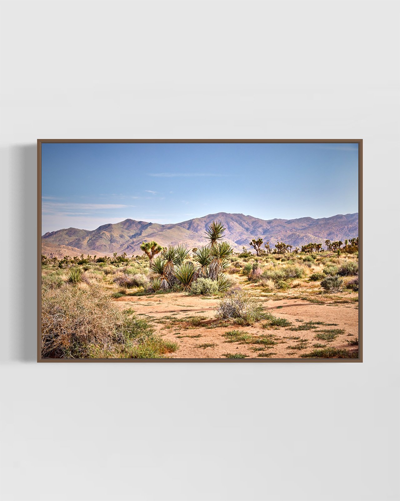 joshua-tree-oliphant-photo-art-5827-1.WALNUT.jpg