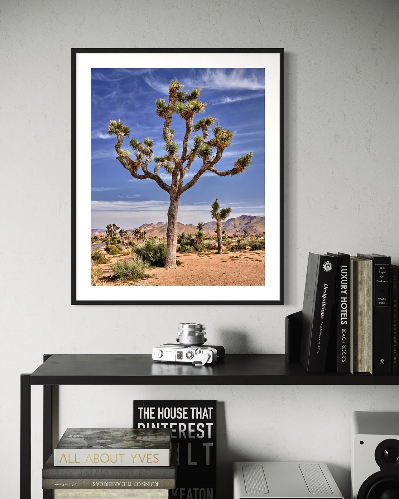 joshua-tree-oliphant-photo-art-5813.FF.STU.BLK.001.jpg
