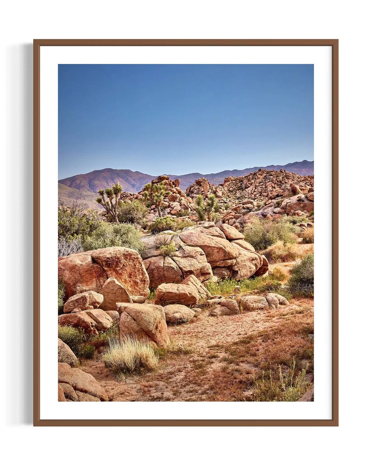 joshua-tree-oliphant-photo-art-5930.FF.DTL.WNT.001.jpg