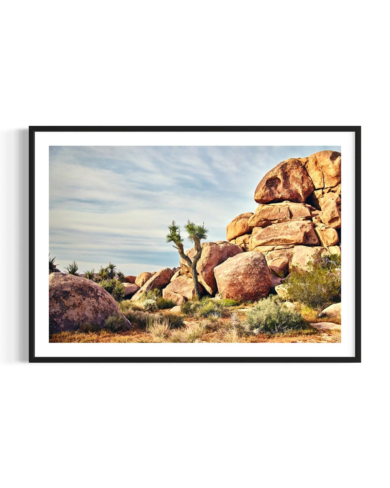 joshua-tree-oliphant-photo-art-6006-HORZ.FF.DTL.BLK.001.jpg