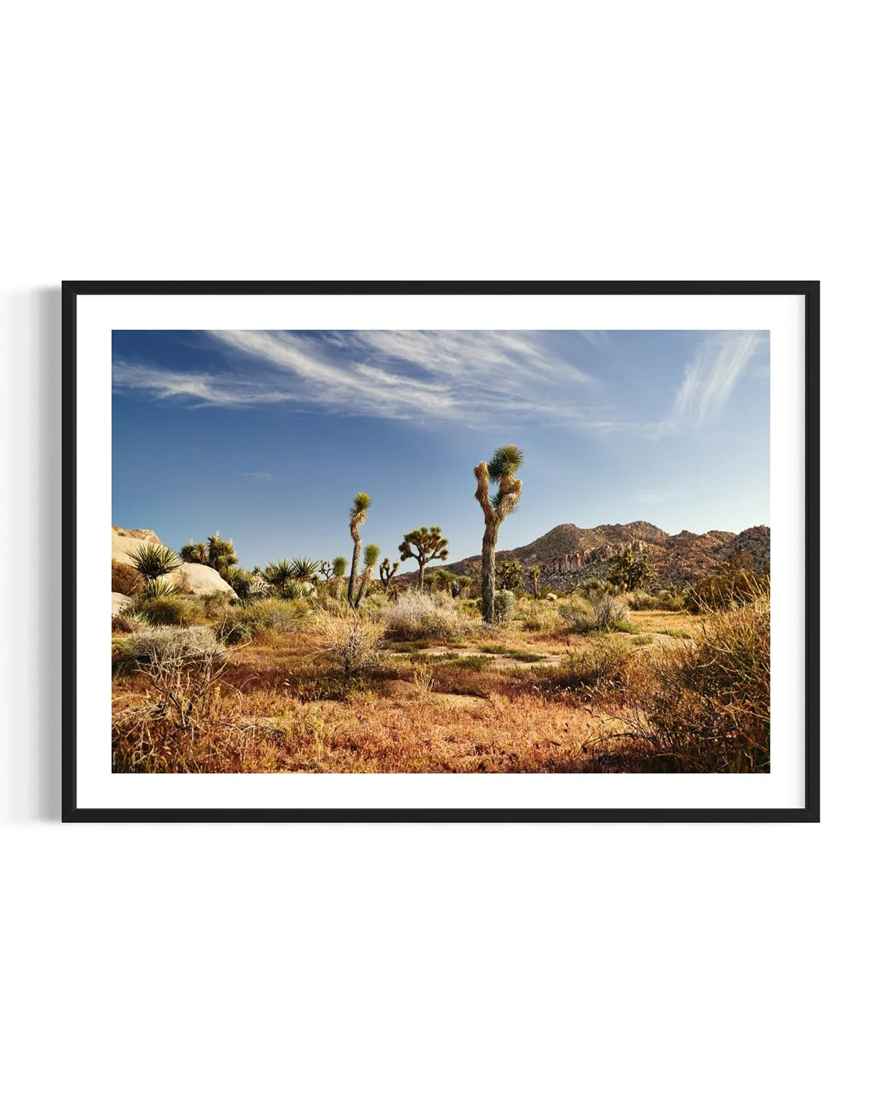 joshua-tree-oliphant-photo-art-E5980.FF.DTL.BLK.001.jpg