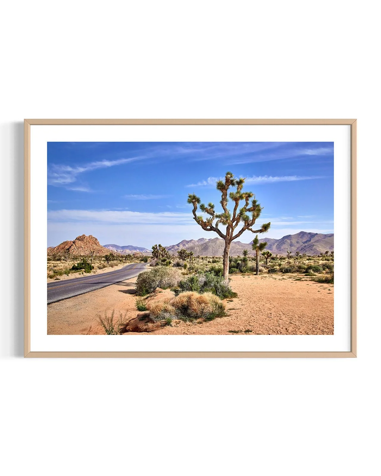 joshua-tree-oliphant-photo-art-5810.FF.DTL.OAK.001.jpg