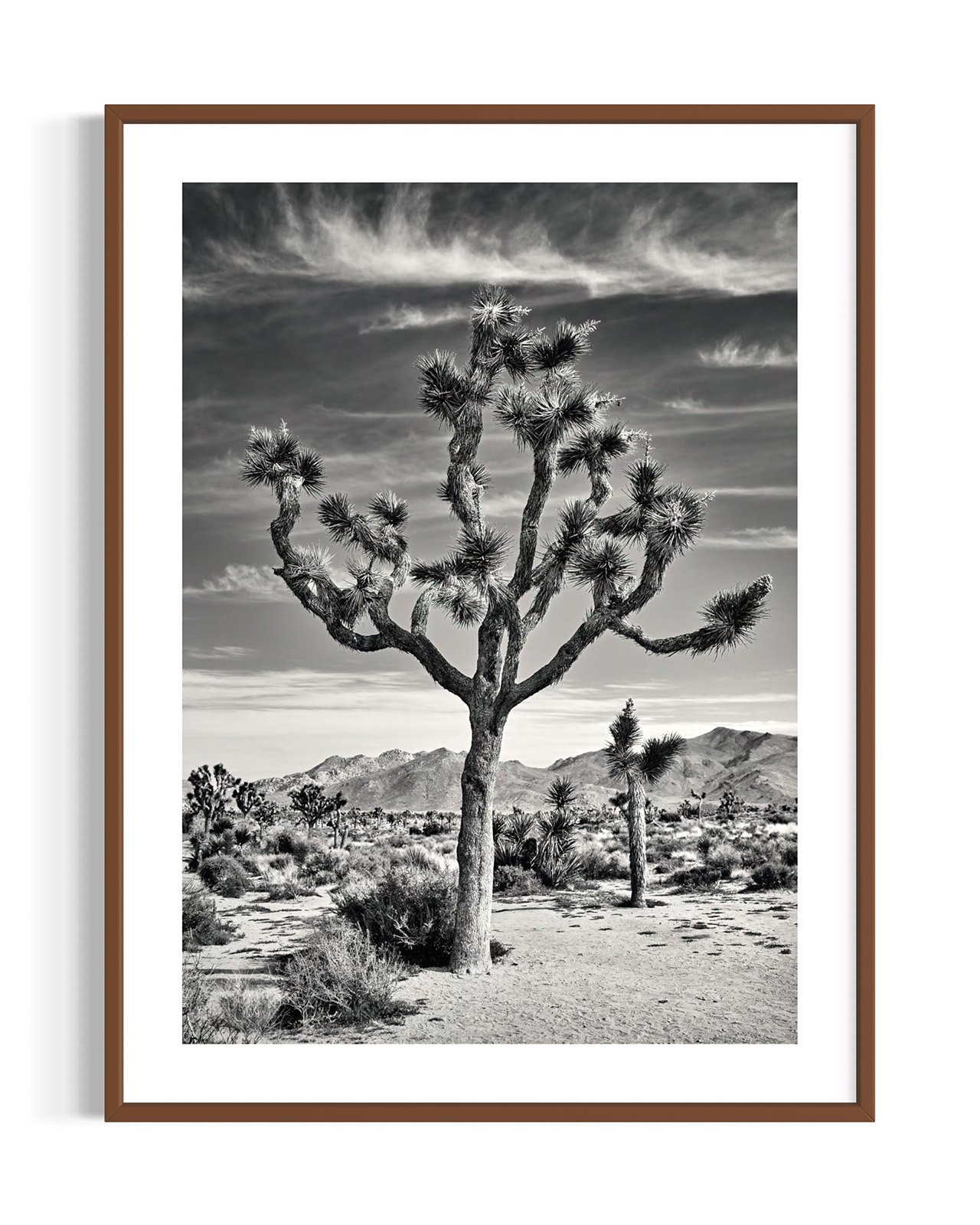 joshua-tree-oliphant-photo-art-5818BW.FF.DTL.WNT.001.jpg