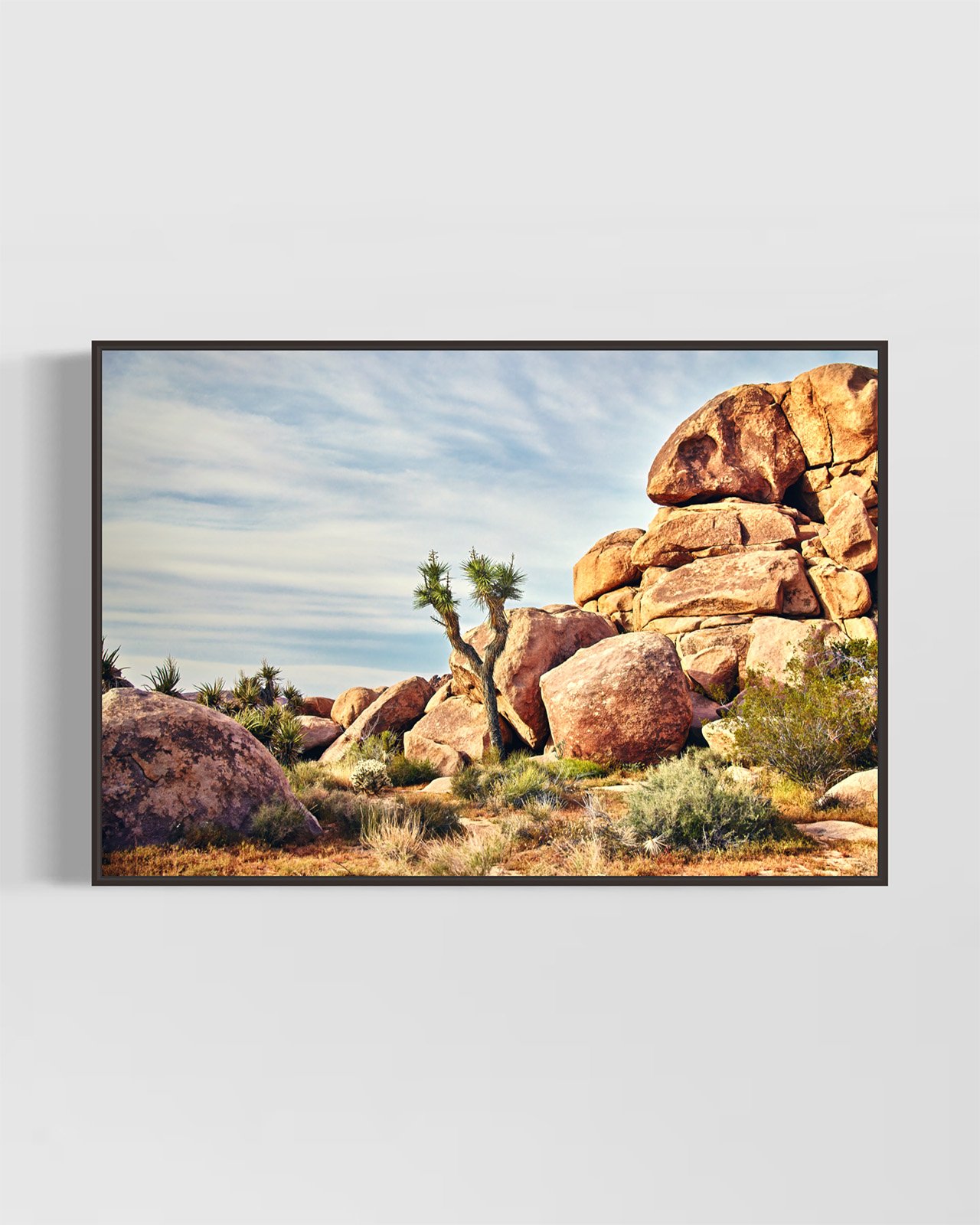 joshua-tree-oliphant-photo-art-6006-HORZ.BLACK.jpg
