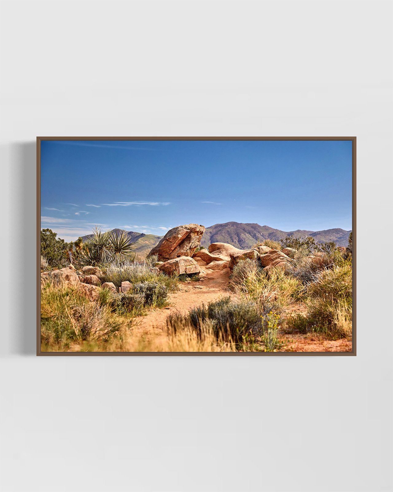 JOSHUA_TREE_5859.WALNUT.jpg