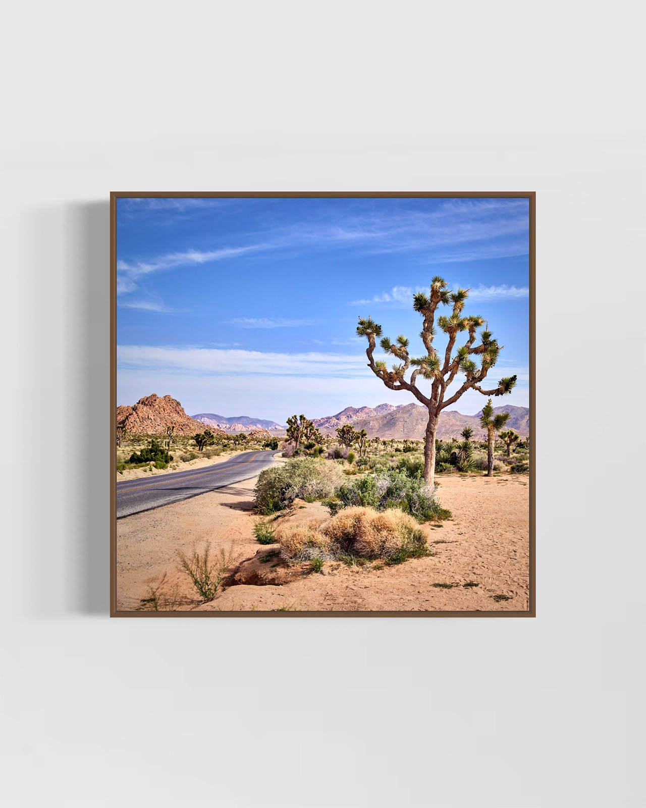 joshua-tree-oliphant-photo-art-5811-1.WALNUT.jpg