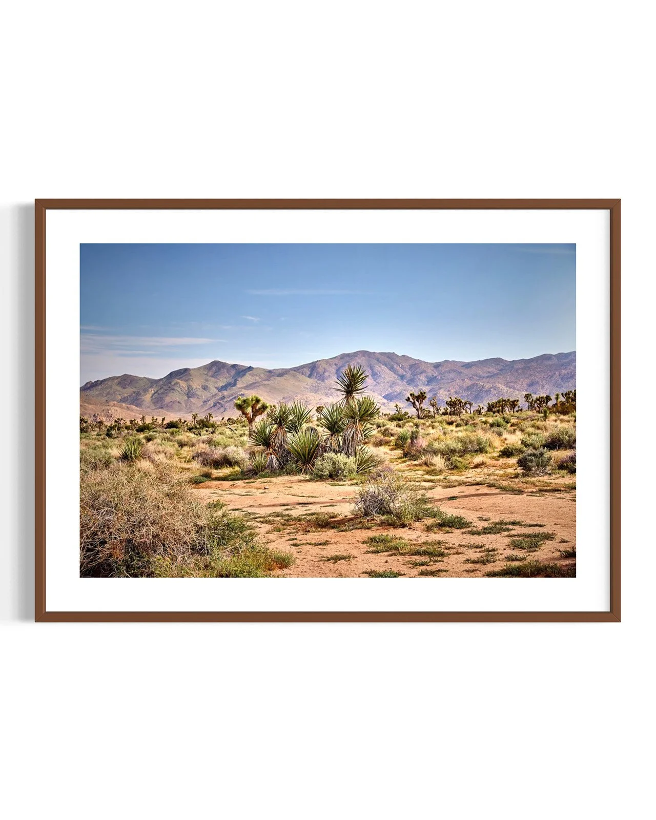 joshua-tree-oliphant-photo-art-5827-1.FF.DTL.WNT.001.jpg