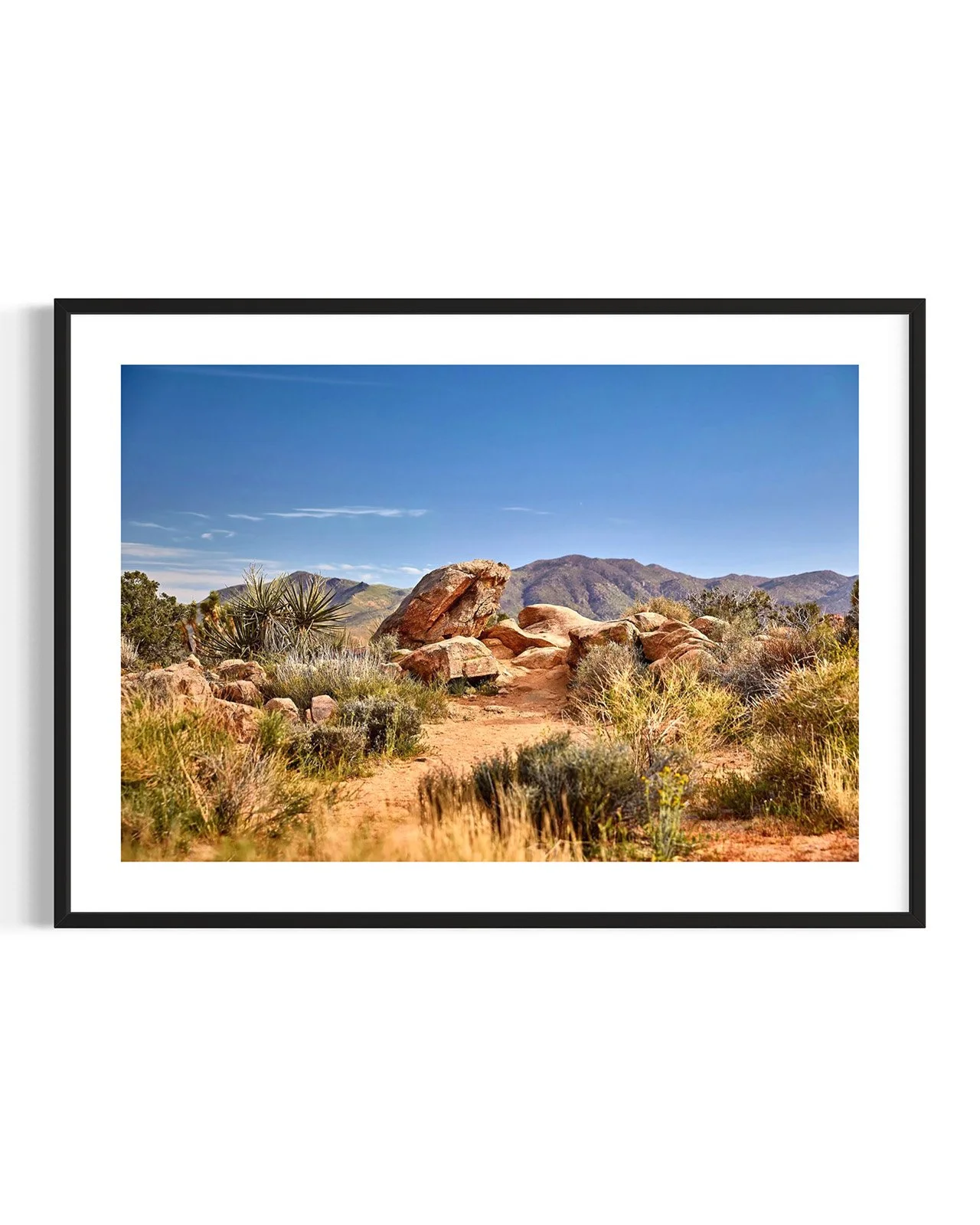 JOSHUA_TREE_5859.FF.DTL.BLK.001.jpg