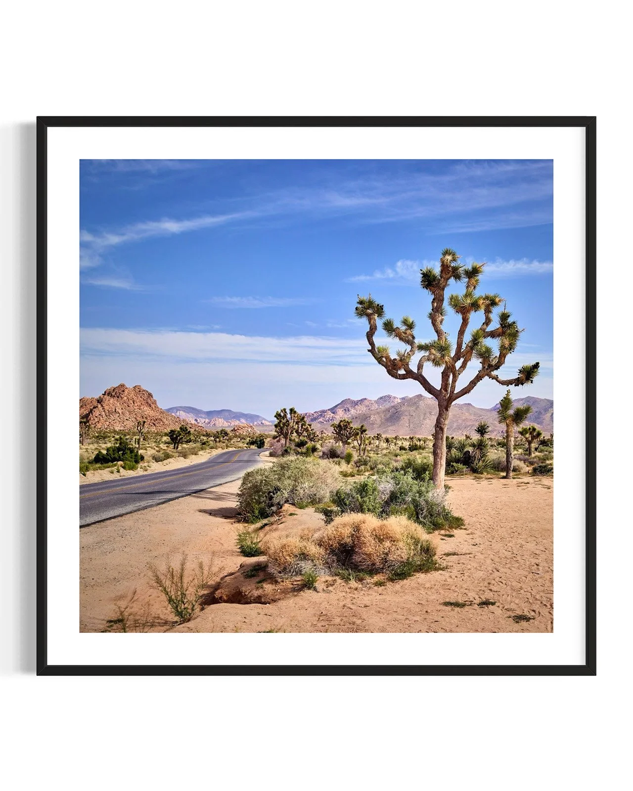 joshua-tree-oliphant-photo-art-5811-1.FF.DTL.BLK.001.jpg