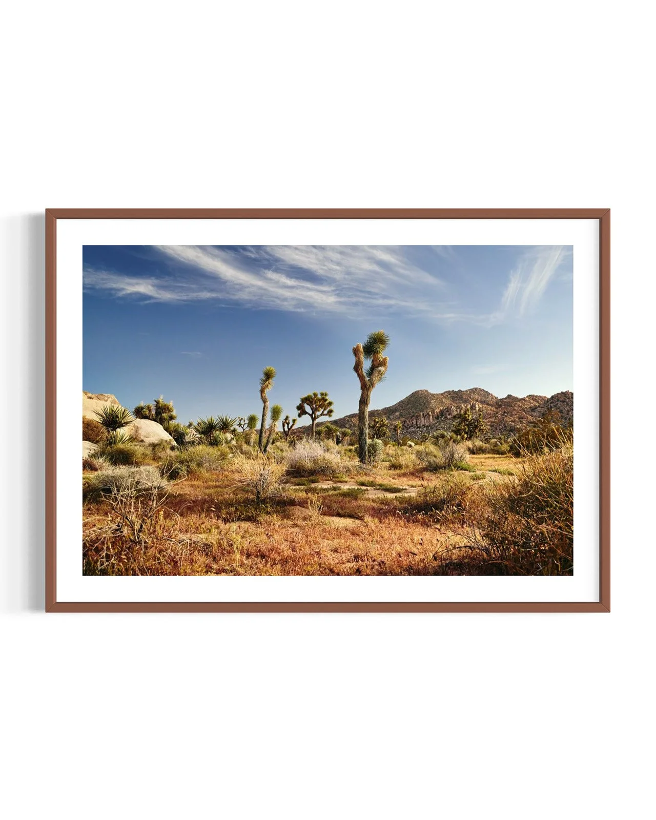 joshua-tree-oliphant-photo-art-E5980.FF.DTL.WNT.001.jpg
