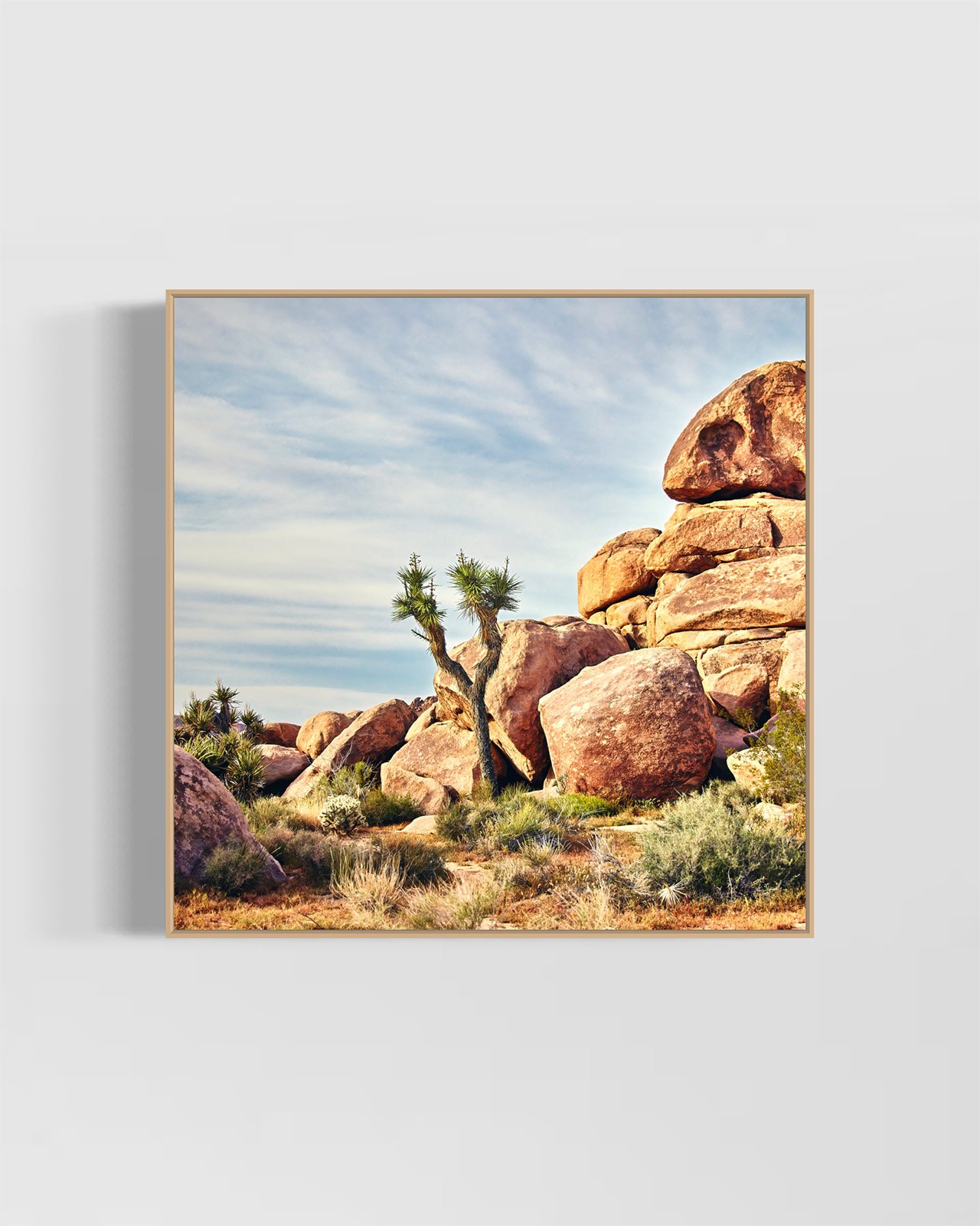joshua-tree-oliphant-photo-art-6006-SQ.OAK.jpg