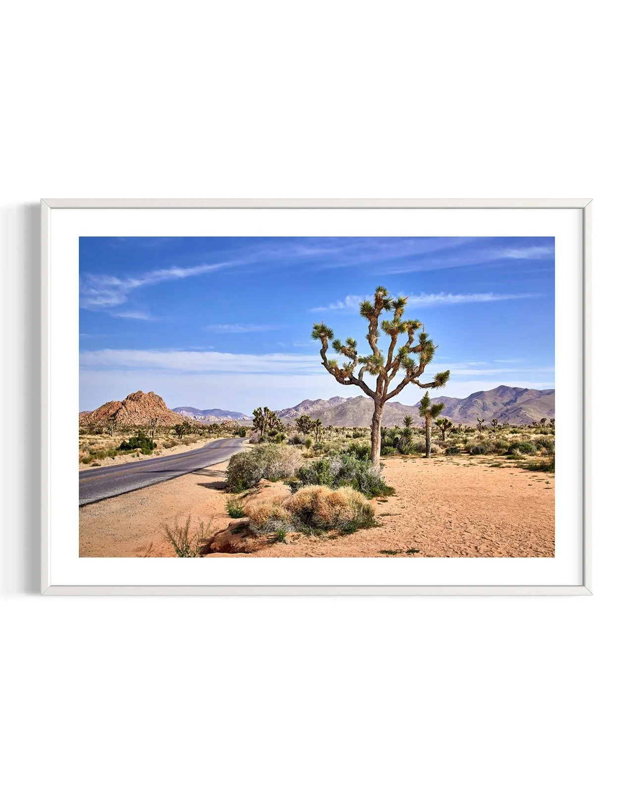 joshua-tree-oliphant-photo-art-5810.FF.DTL.WHT.001.jpg
