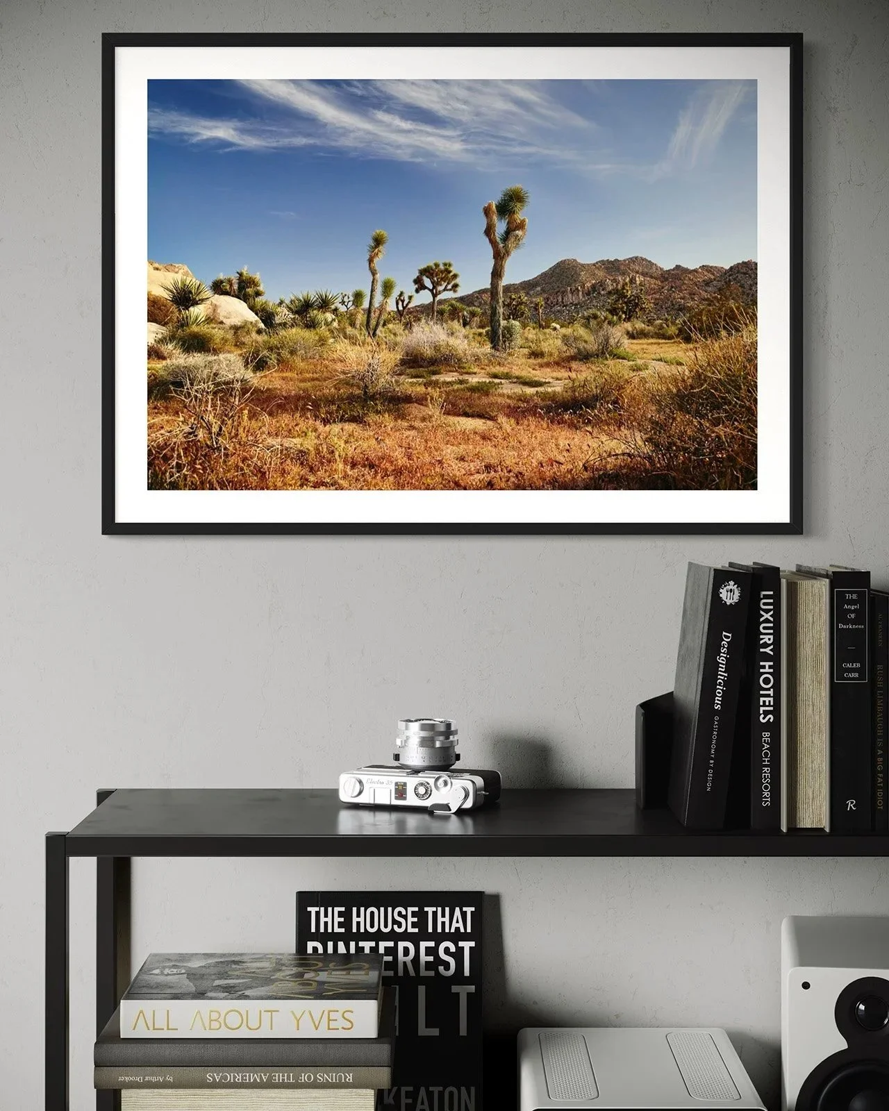joshua-tree-oliphant-photo-art-E5980.FF.STU.BLK.002.jpg