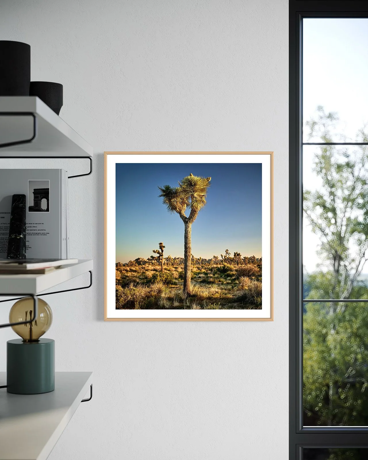 joshua-tree-oliphant-photo-art-6310-2.FF.STU.OAK.001.jpg