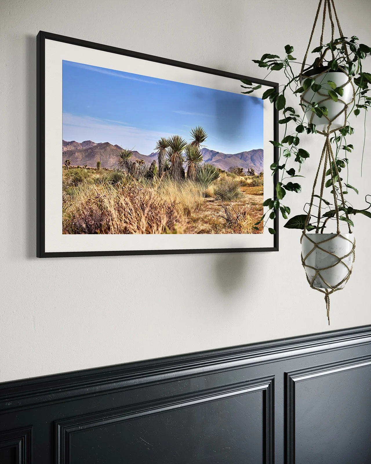 JOSHUA_TREE_YUCCA_FAMILY_1_5843_FF.STU.BLK.003.jpg