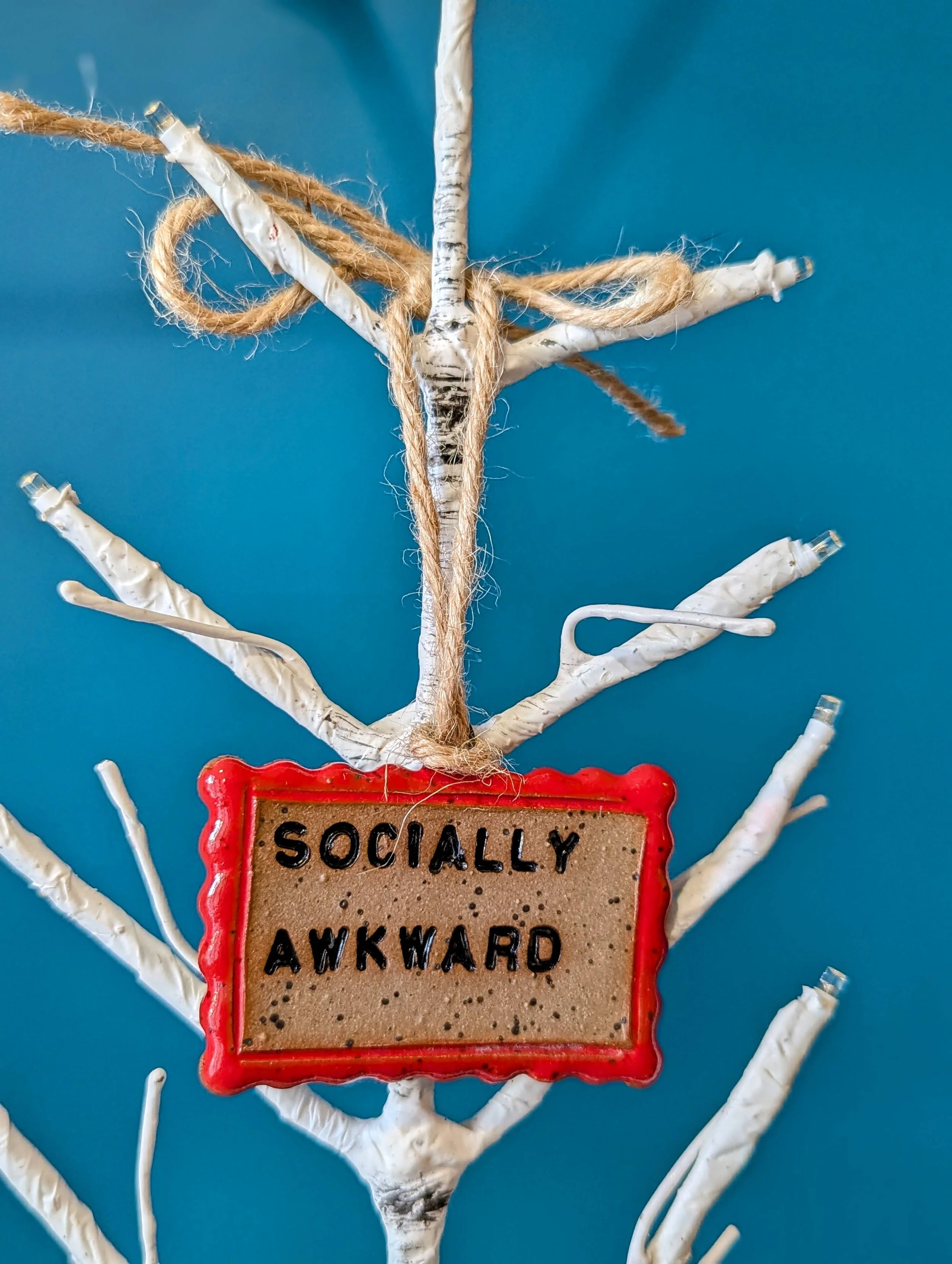PXL_20251124_141631236.PORTRAIT-EDIT.jpg