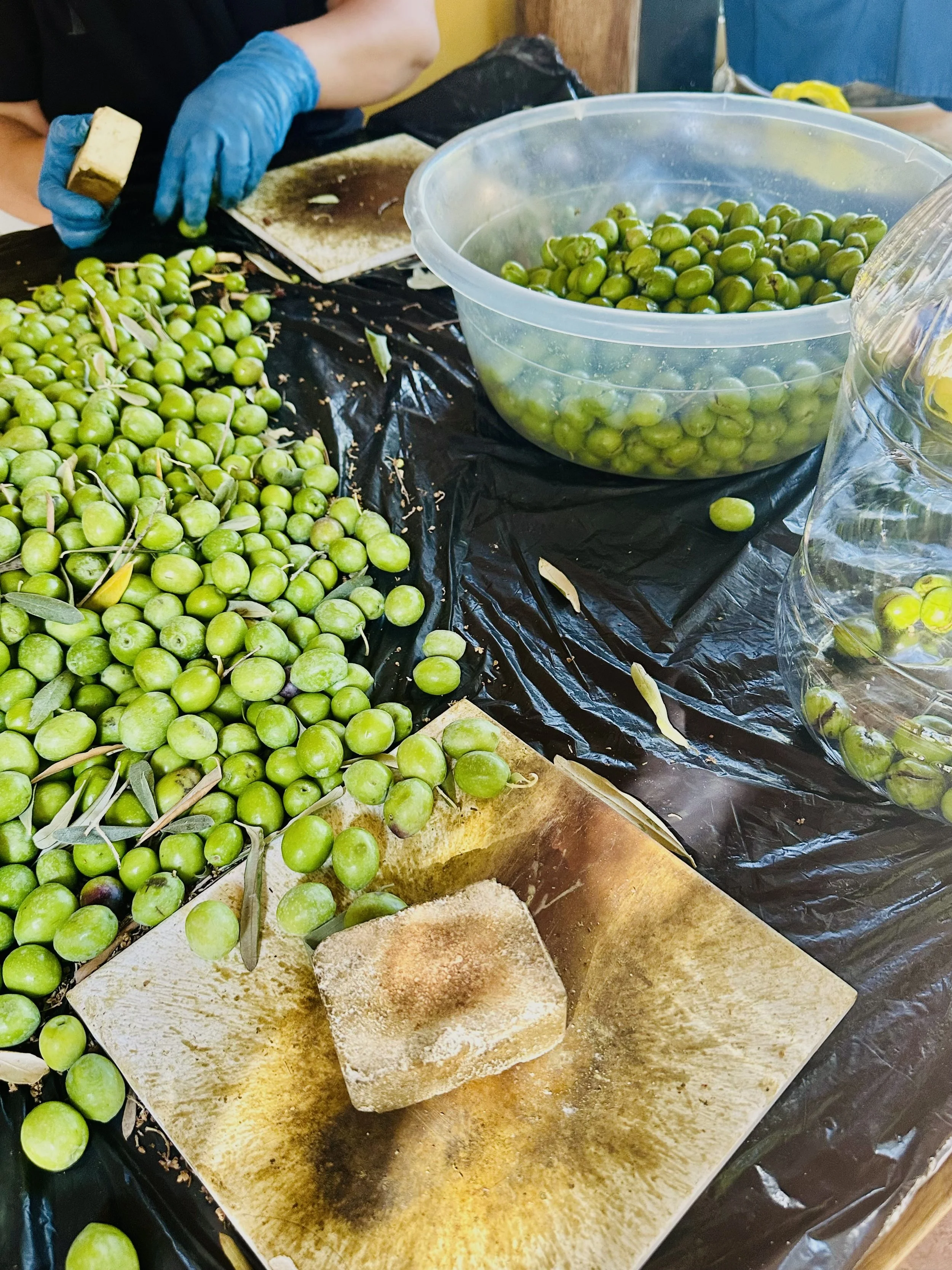 People working with green olives on a work surface, using gloves and tools, with bowls and containers of olives around.