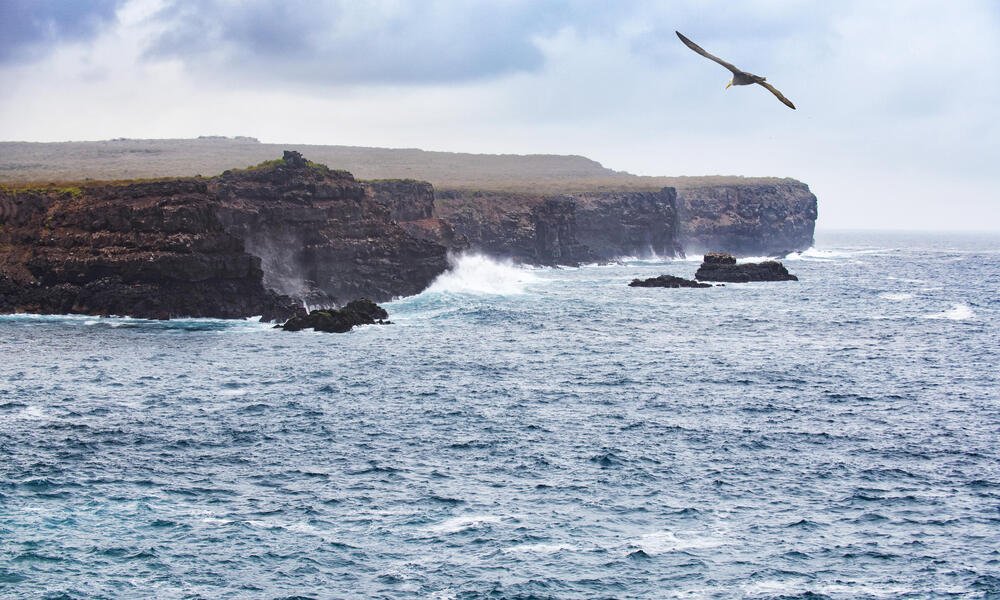 7 ways you can help save the ocean