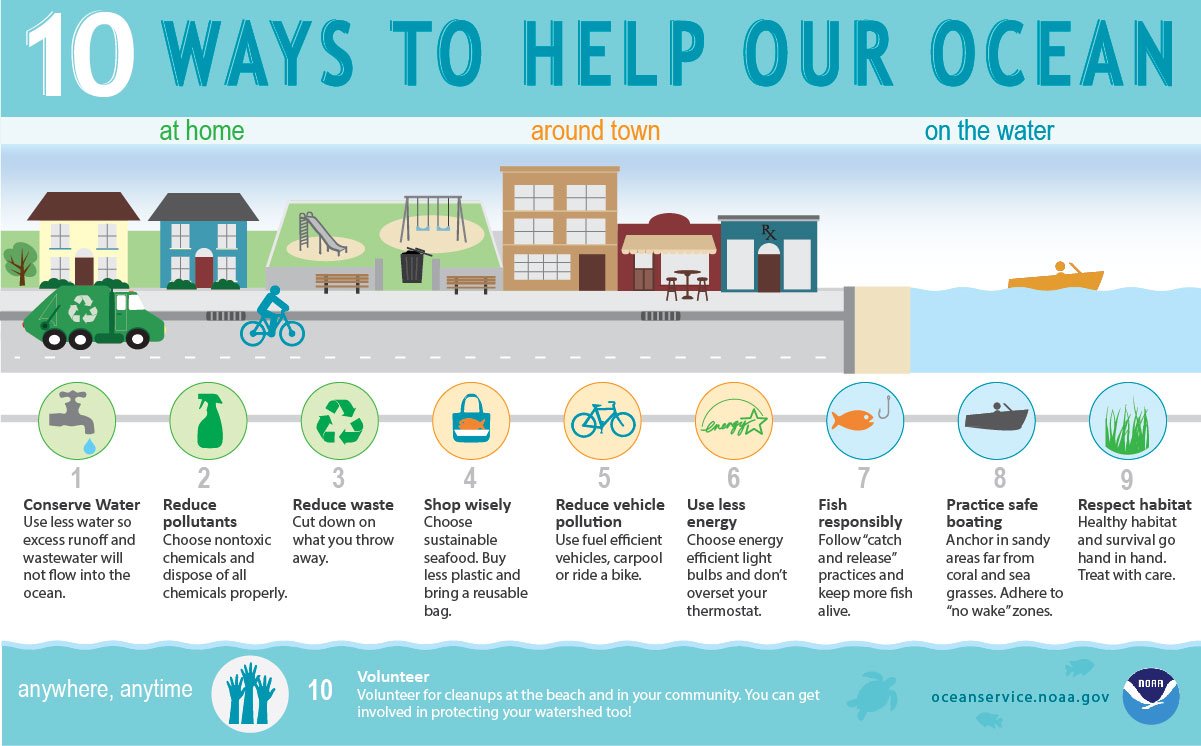 How can you help our ocean?