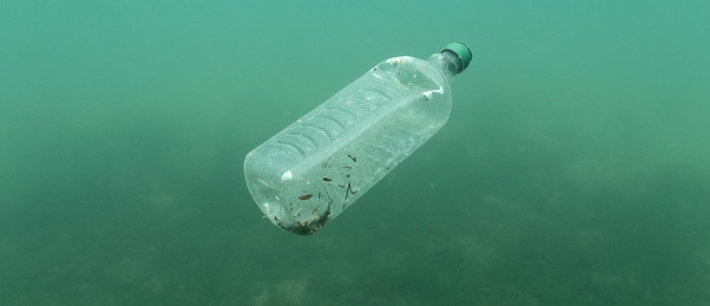 Five ways individuals can help save the oceans