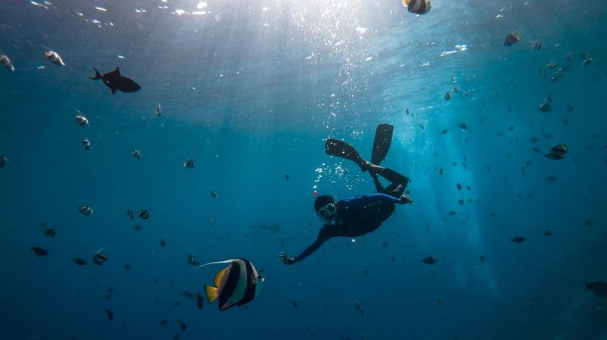 5 reasons you should care about our ocean