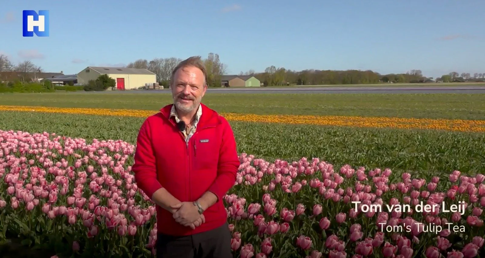 Tom's Tulip Tea