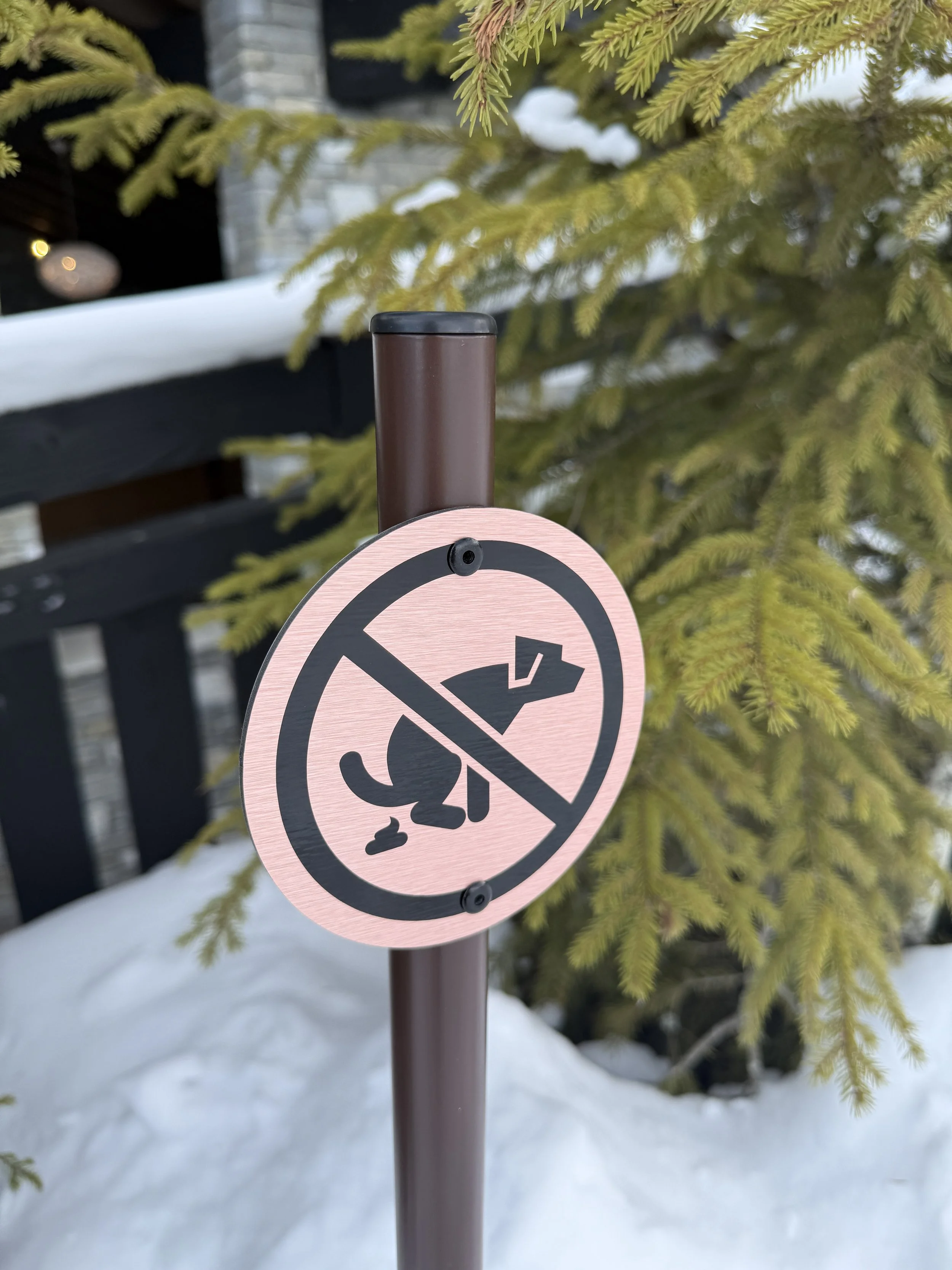 MASCARA Piste_04.jpg