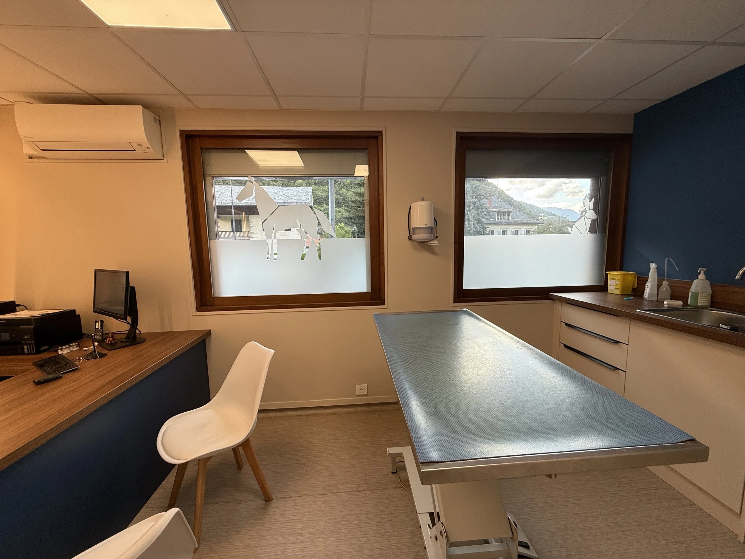 VETERINAIRE 3V_08.jpg