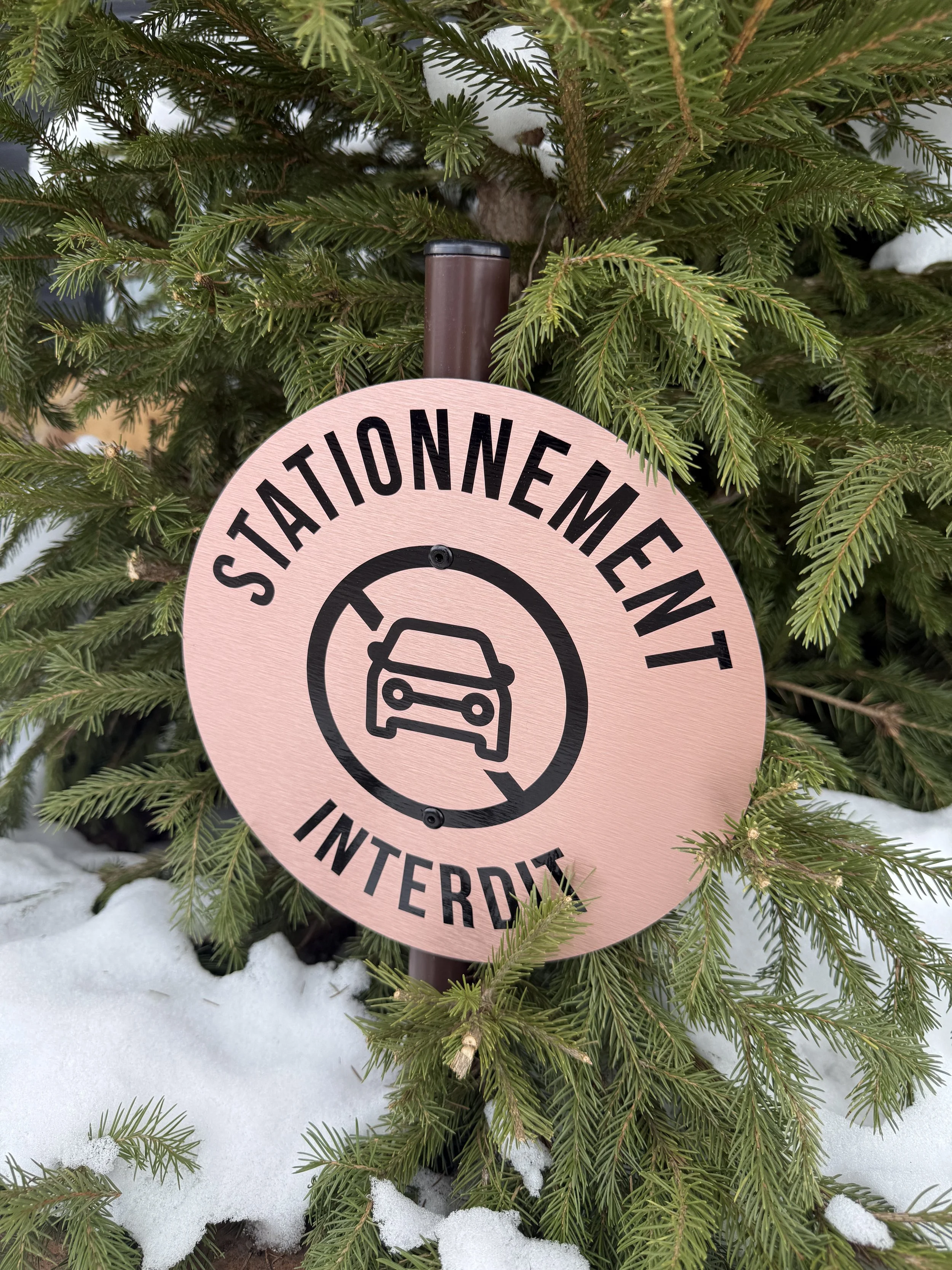 MASCARA Piste_02.jpg