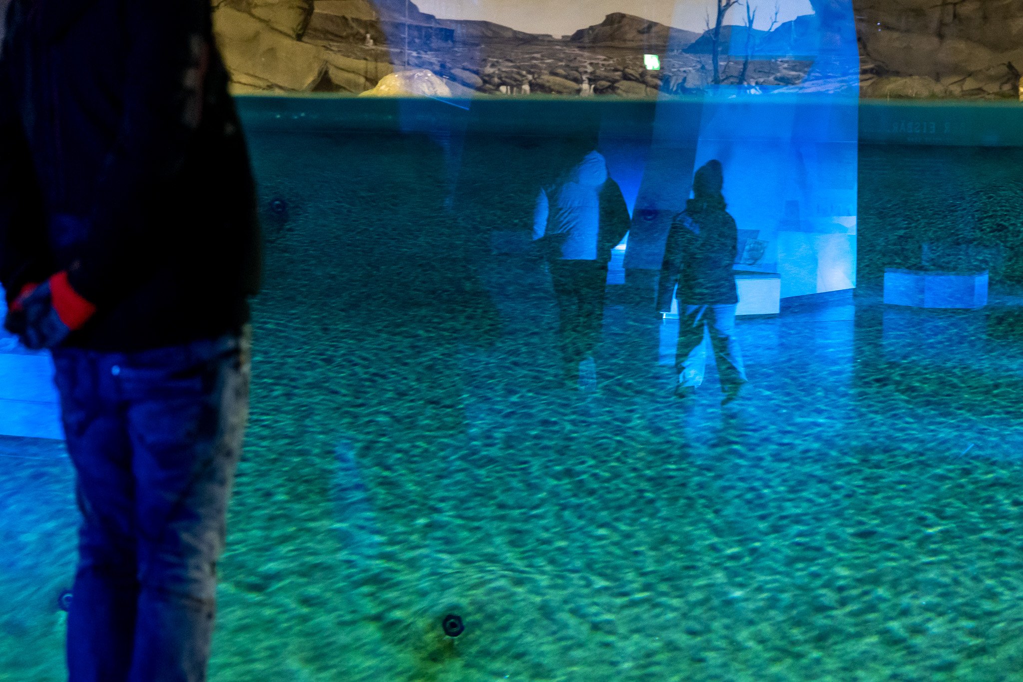 Menschen bei einem Besuch im Aquarium, die Meerestiere durch eine Glasscheibe beobachten, im Hintergrund Felsen und Wasser