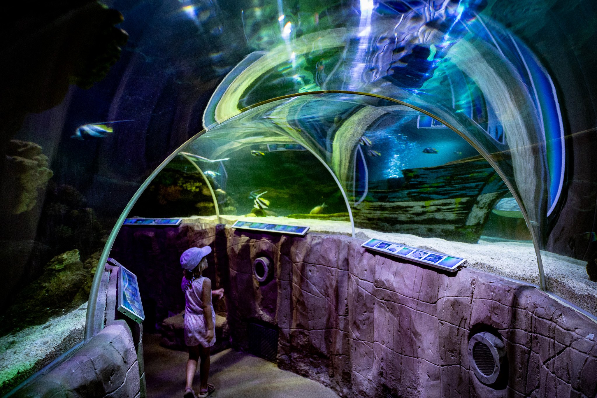 Kinder im Aquarium, das eine Tunnelstruktur aus Glas und Stahl aufweist, durch die sie schwimmende Fische und Meereslebewesen beobachten können.