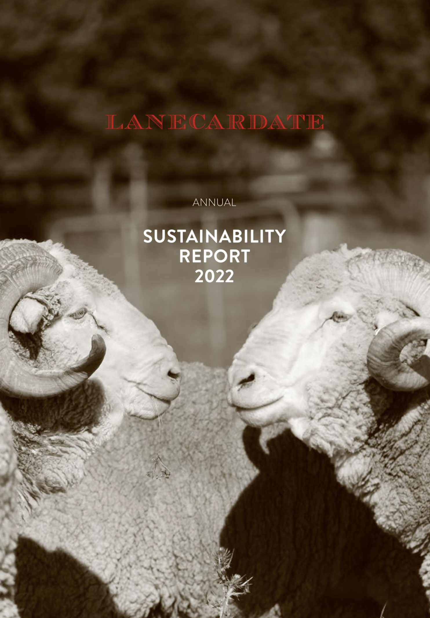 Capture d’écran 2024-04-04 à 09.38.43.png