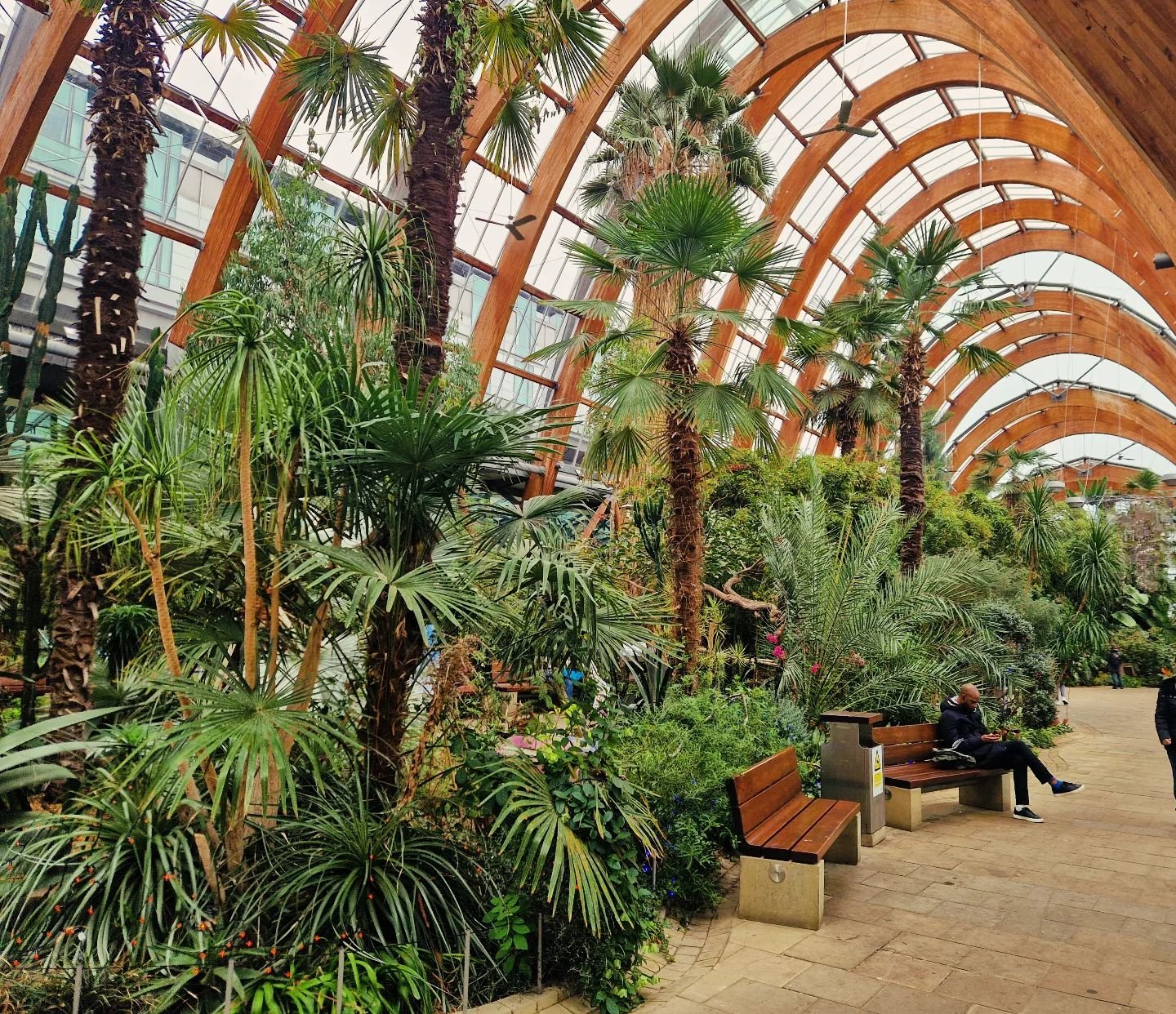 The Winter Garden&rsquo;s plants have it figured out&mdash;they grow at their own pace, no rush, no pressure. A nice reminder for us to take life one day at a time too. 🪴 

Had a sojourn to Sheffield for some peer supervision and loved seeing what t