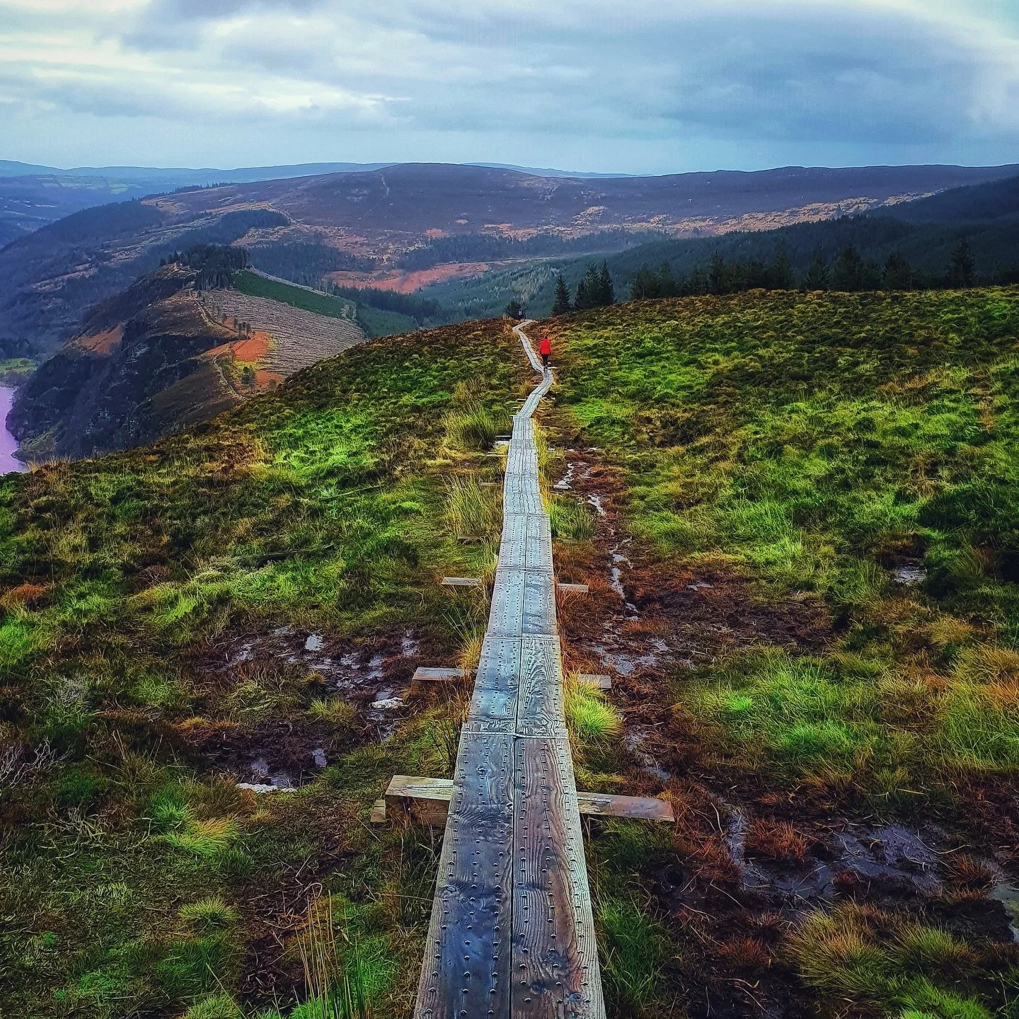 &ldquo;Your feet will bring you to where your heart is.&rdquo; (Irish Proverb) ☘️🩷

We cannot wait for our retreat to Ireland 🇮🇪 
in June 2026! We still have a few spots available - link in bio - or message us to chat! 

#ireland #europe #travel #
