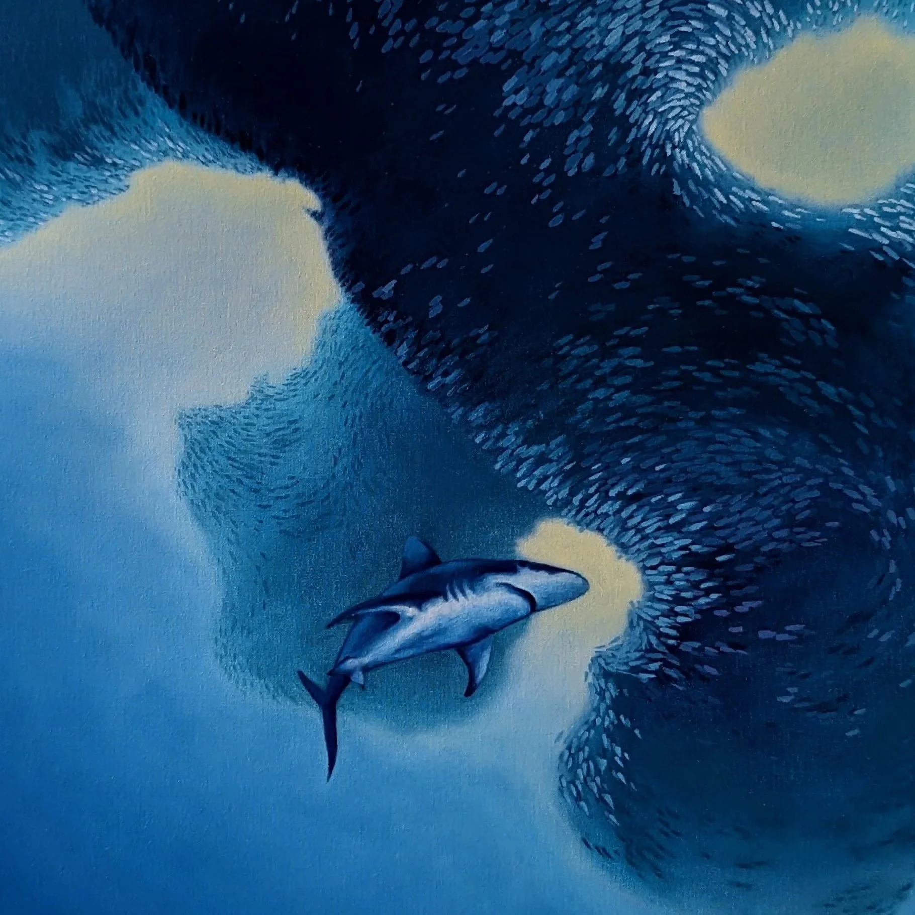 Waterworld