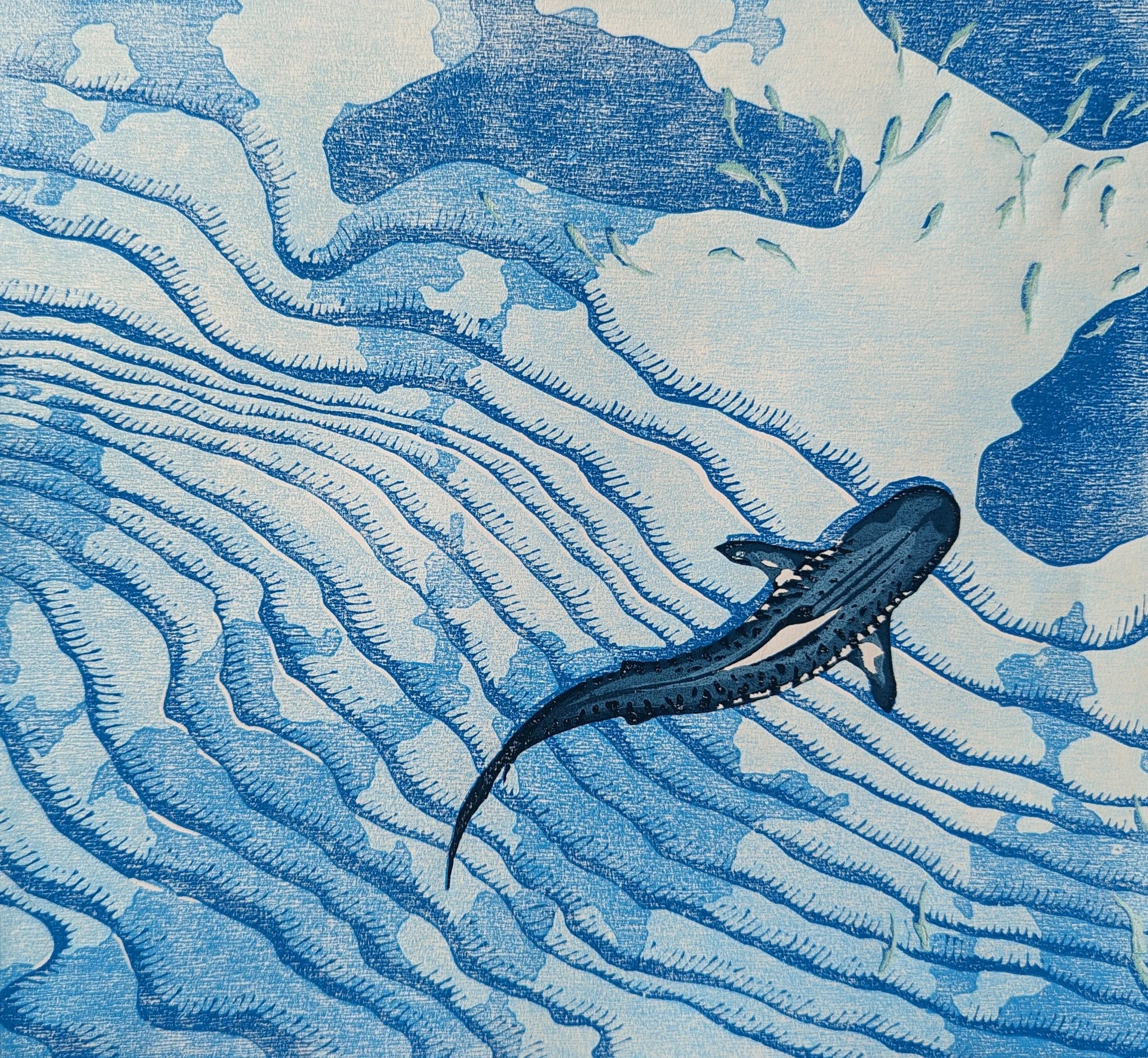 Serie: Sealife #9 I Tigershark I 2024 I Reduction woodcut I 27.5 x 30 cm I €190 framed, €150 unframed I Editions: 11 Available