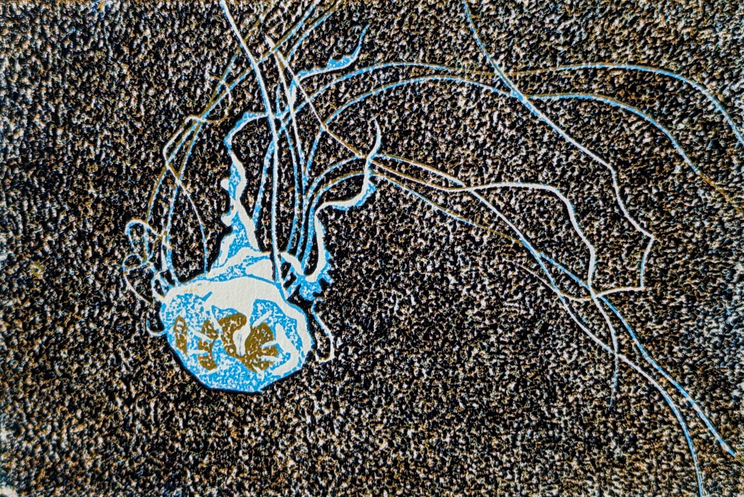 Serie: Sealife #4 I Sea Nettle I 2024 I Reduction linocut I 8.5 x 12.5 cm I €80 framed, €45 unframed I Editions: 9 Available