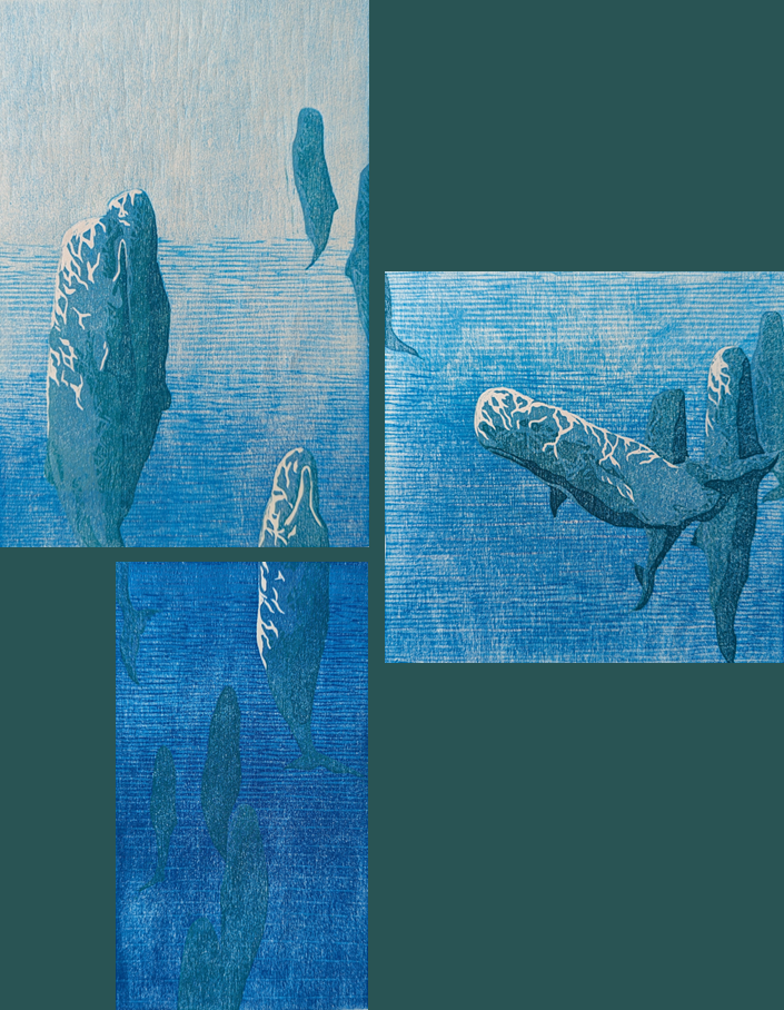 Serie: Sealife #2 I Sleeping Spermwhales I 2023 I Reduction woodcut I 56 x 43 cm I €290 framed, €250 unframed I Editions: 8 Available