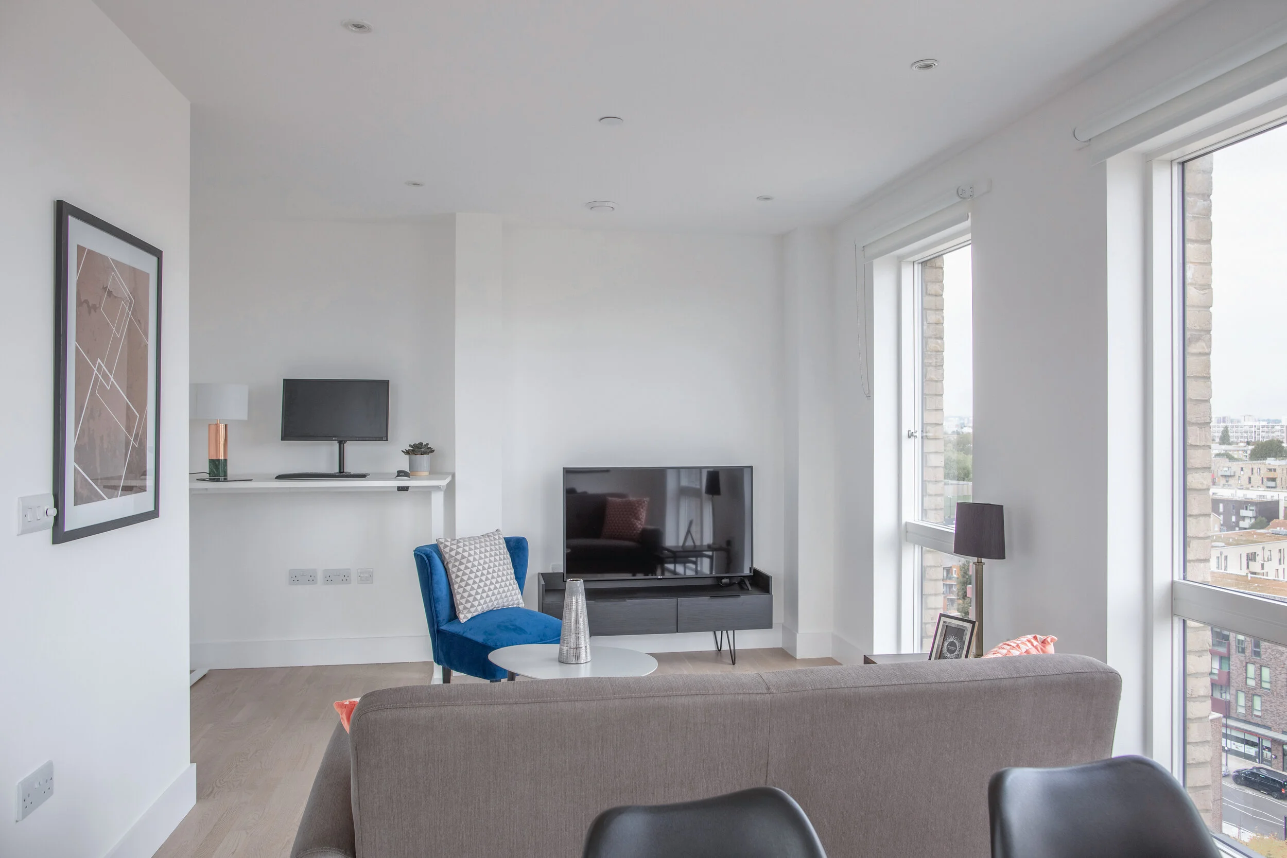 Beagle Court Extra Work-Station Shot 2.JPG