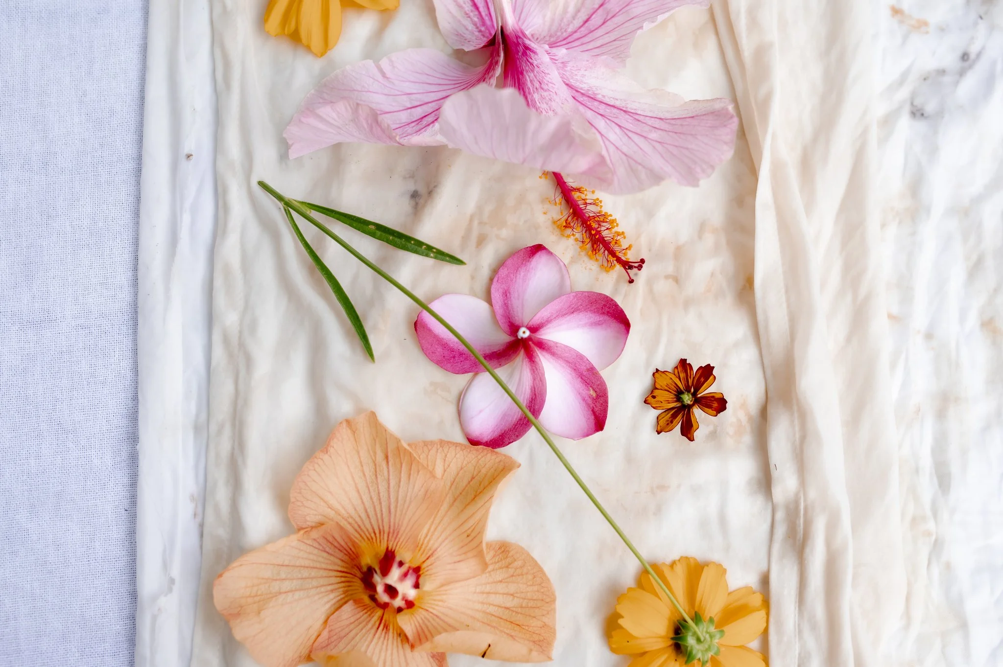 Kate McAllister Photography-083.jpg