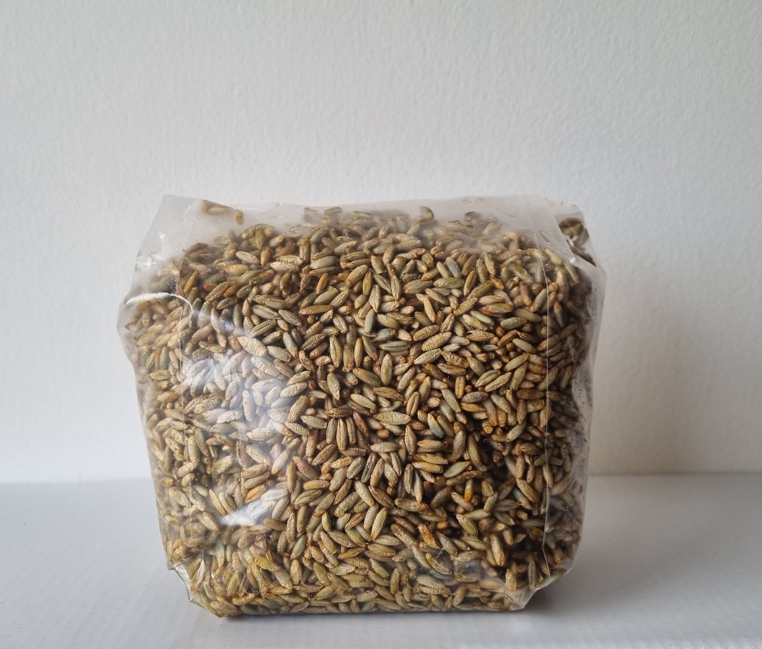Buy Sterelised Rye Grain and Hardwood Sawdust (50/50 Mix) liquid ...